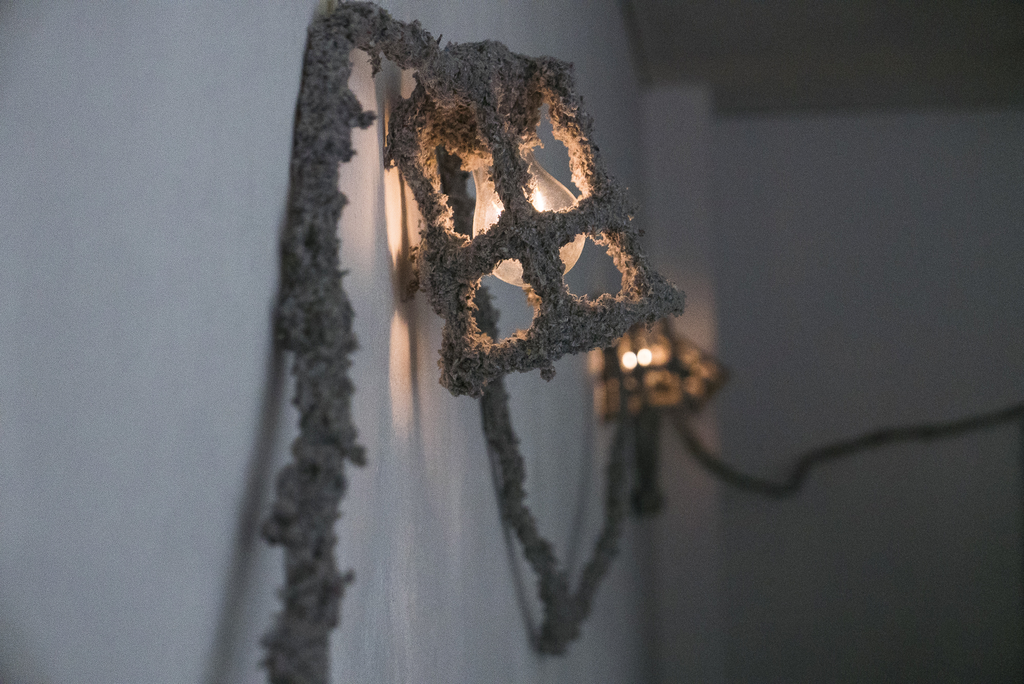 aymeric-tarrade-meutes-et-unites-14