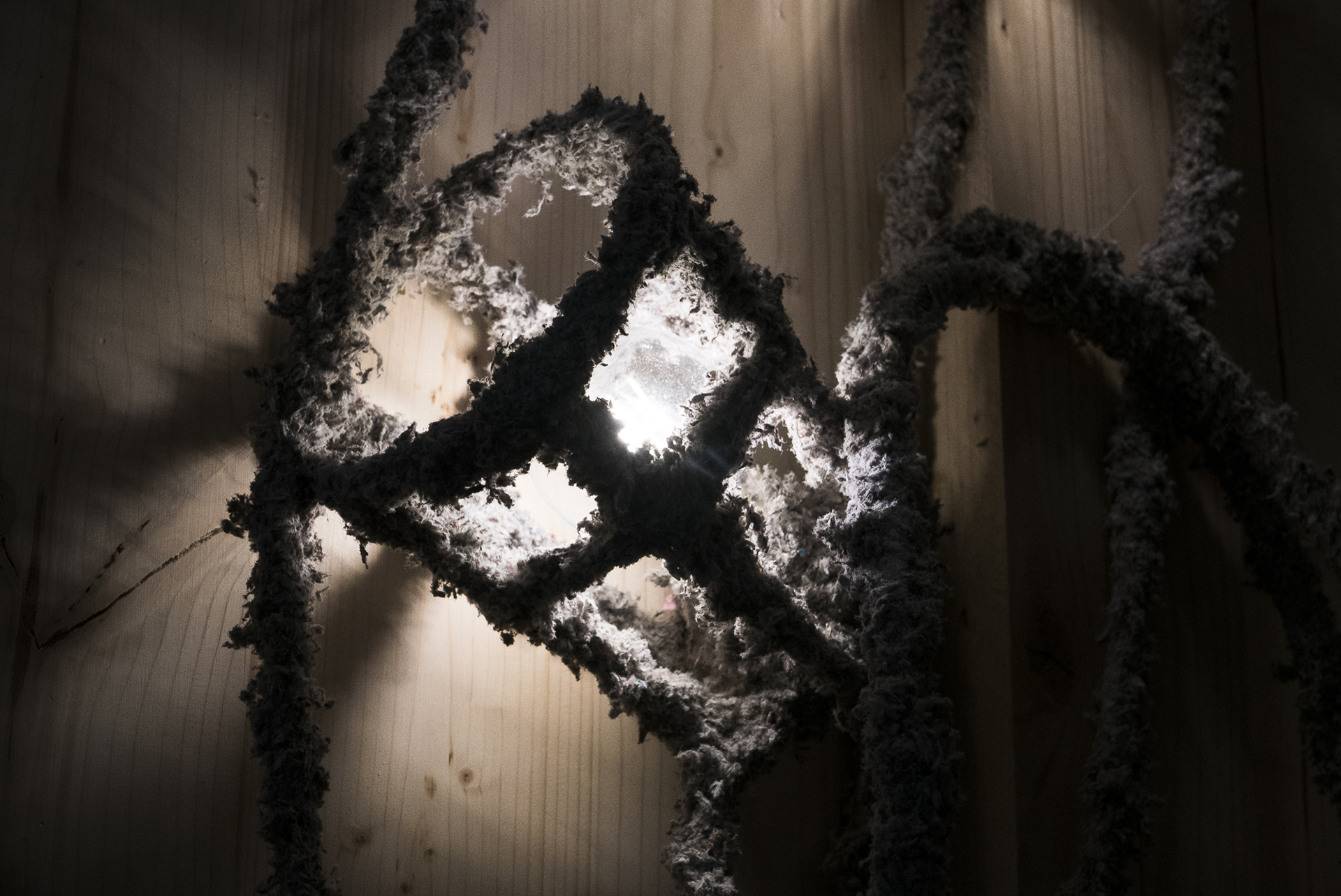 aymeric-tarrade-meutes-et-unites-9