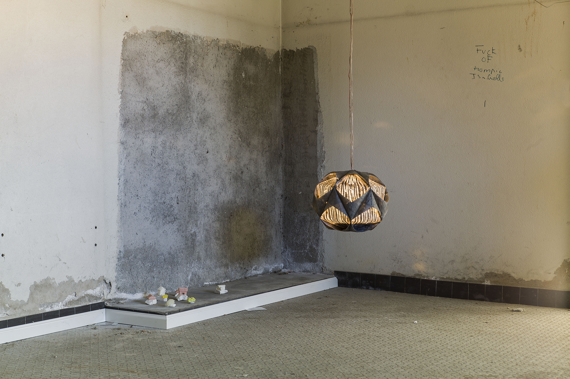 aymeric-tarrade-hidden-tiger-2